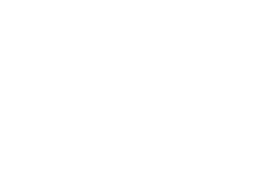 Reboot South Carolina